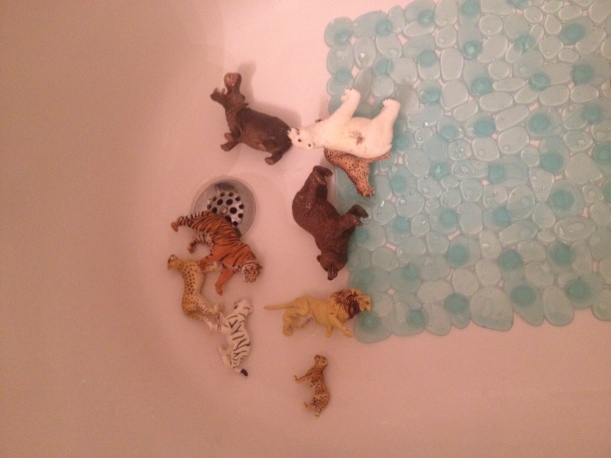 animals in tub.JPG